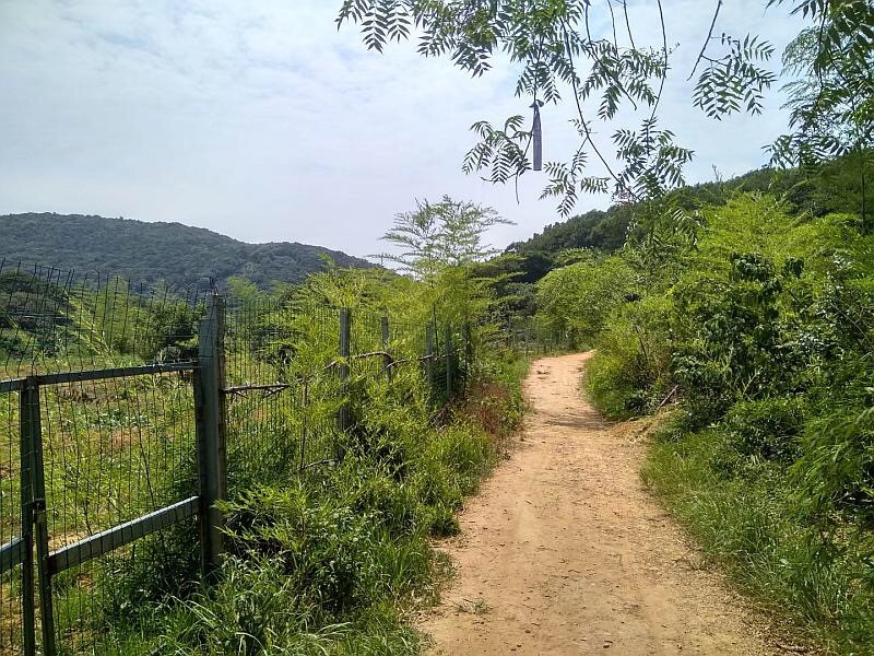 秋葵视频IOS下载无限看厂家军嶂古道